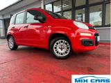 Fiat Panda 1.2 Easy/KLIMA/CITY/EU6 - Fiat Panda EASY mit Benzin-Antrieb