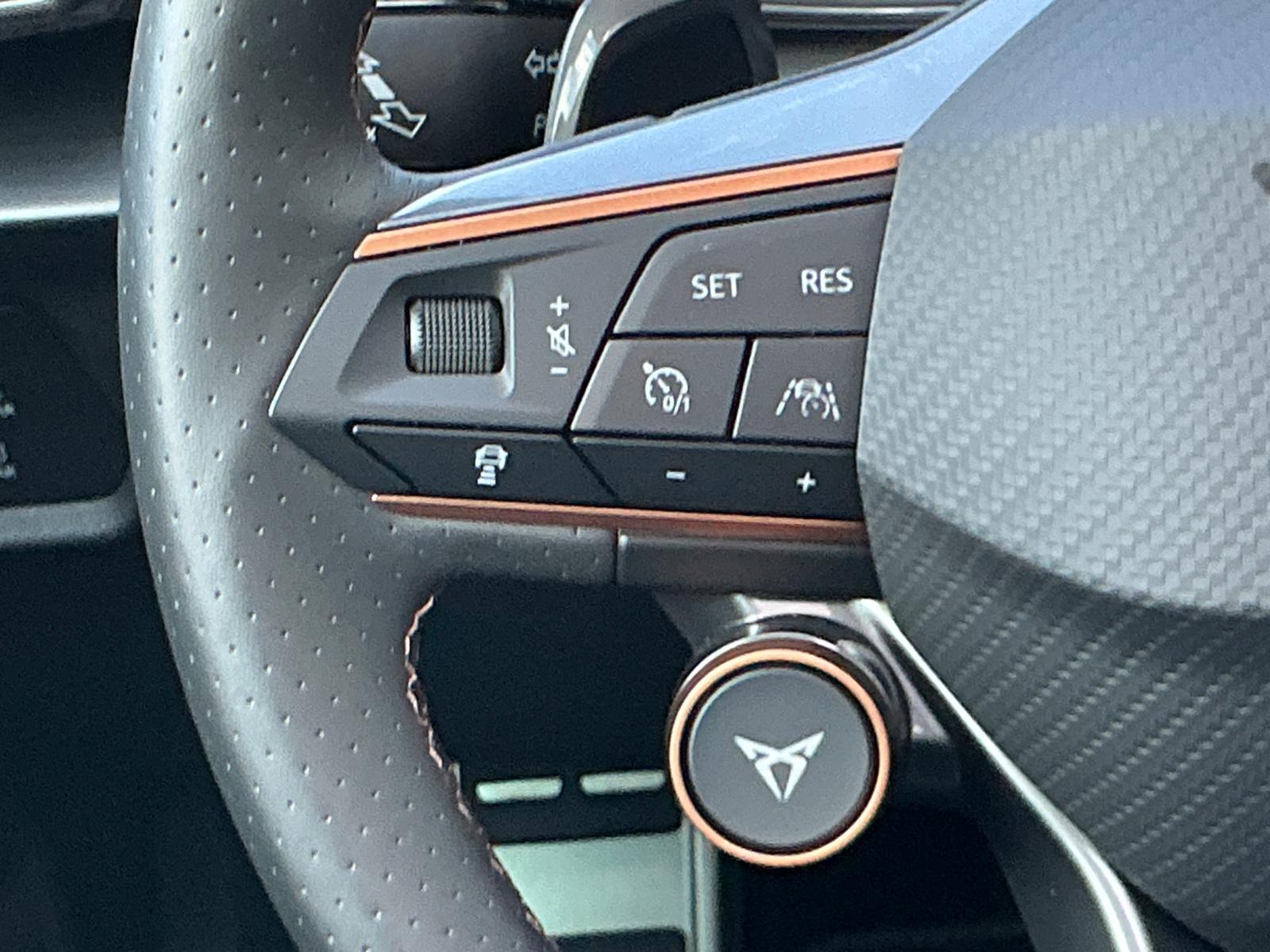 Cupra Formentor VZ 4Drive Pano Navi Led Kamera ELH AHK, миниатюра 19