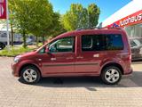 Volkswagen Caddy Roncalli 1.6 TDI Trendline/7SITZE/8XR/AHK - Volkswagen Caddy: Roncalli Trendline