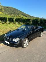 Mercedes-Benz Mercedes CLK 200 Cabrio Typ W209 BJ2008 - Mercedes-Benz: Cabrio, Clk W209
