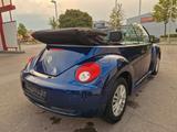 Volkswagen New Beetle 1.9 TDI Freestyle,Scheckheft,SHZ - Volkswagen New Beetle mit Diesel-Antrieb