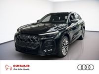 Audi SQ5 - Vorschau Bild 1