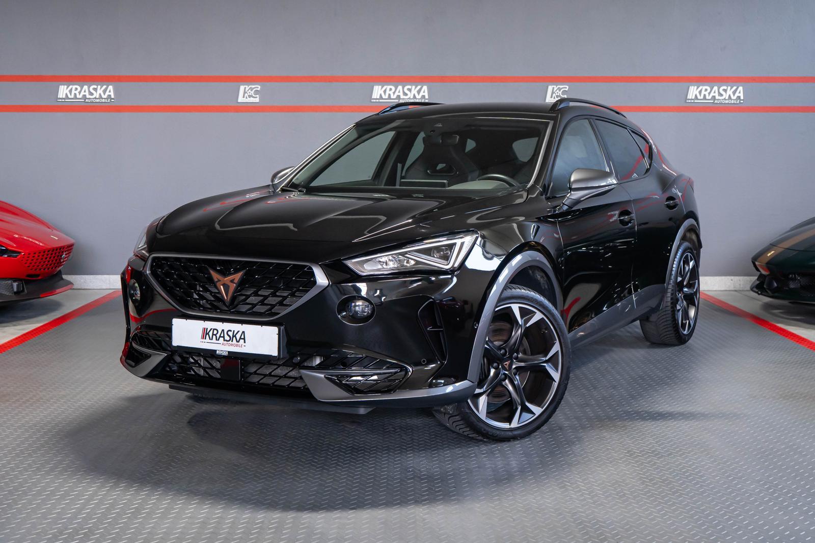 Cupra Formentor 2.0 TSI VZ 4D AHK SHZ RFK BEATS DCC