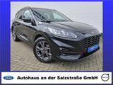 Ford Kuga ST-LINE X*AHK*ACC*B&O*HuD*LED*RFK*Navi* - Ford Kuga ST-Line mit Hybrid-Antrieb (Diesel-Elektro)