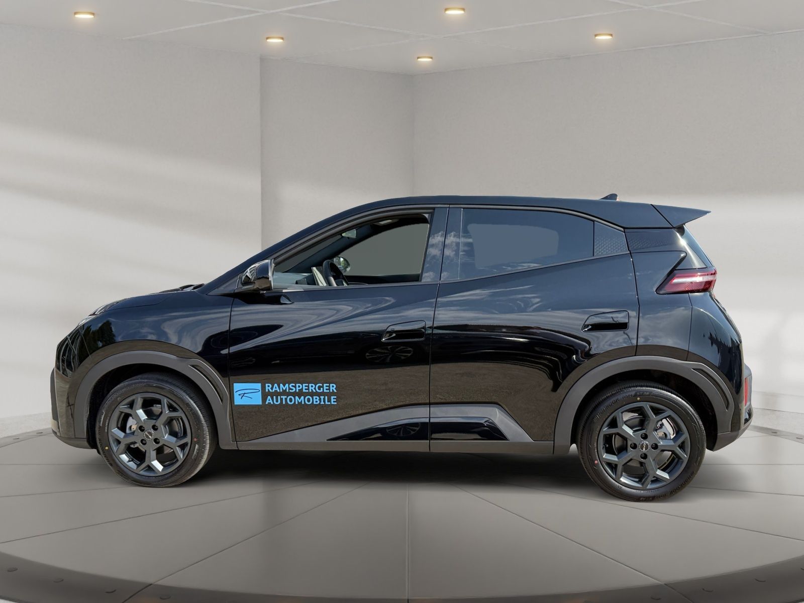 BYD DOLPHIN SURF