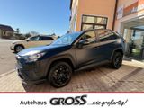 Toyota RAV 4 Hybrid 4x2 Team Deutschland 2.5 XPEL STEAL - Toyota RAV 4: D4d