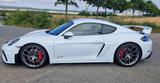 Porsche GT4 Cayman 718 982 Approve 10/2027 - Porsche Cayman aus 2019