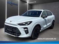 Cupra Terramar - Vorschau Bild 1