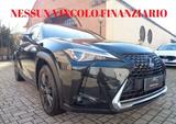 Lexus UX 250 Hybrid Business NO VINCOLO DI FINAN - Lexus UX aus 2022