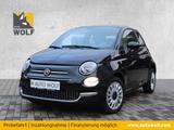 Fiat 500 Dolcevita *Panoramadach* - Fiat 500 Tageszulassungen mit Benzin-Antrieb