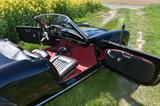 Alfa Romeo Giulia Spider 1600 Typ 101.23 restauriert - Alfa Romeo: 1600