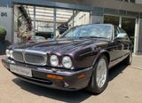 Jaguar Daimler Super V8 - 1. Hd einzigartige Farbkombi - Jaguar Daimler Gebrauchtwagen