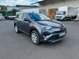 Toyota Rav4 Hybrid - Toyota RAV 4 in Mainz
