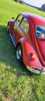 Volkswagen Käfer - VW Käfer Gebrauchtwagen in Bielefeld