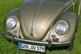 Volkswagen Käfer Ovali Bauj. 1957 - Volkswagen Käfer: Ovali