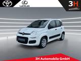 Fiat Panda 1.2 Pop Klima Allwetter - Fiat Panda POP mit Benzin-Antrieb