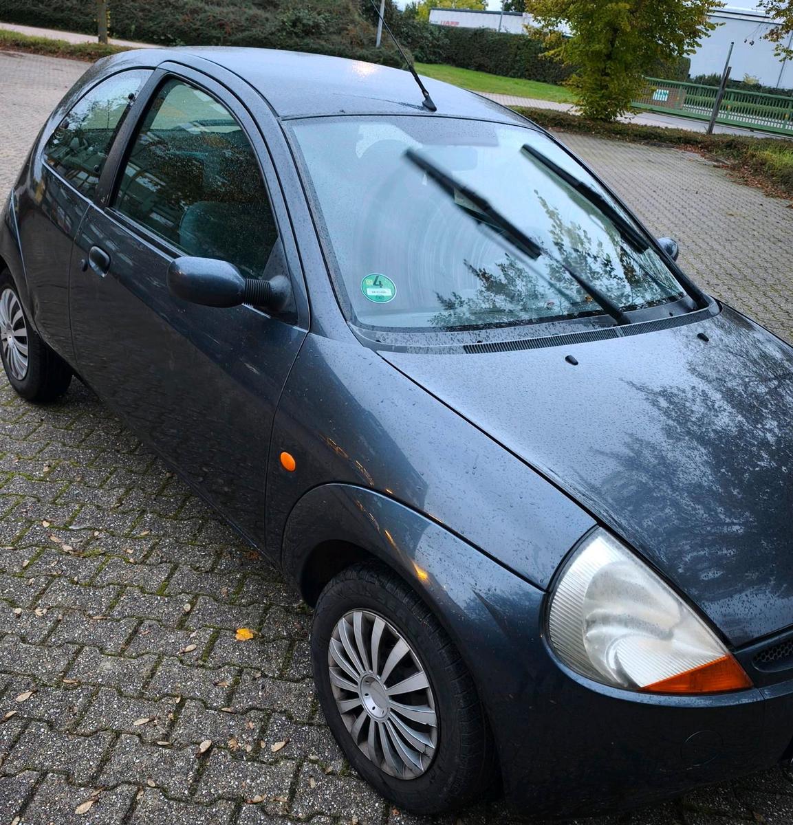 Ford Andere