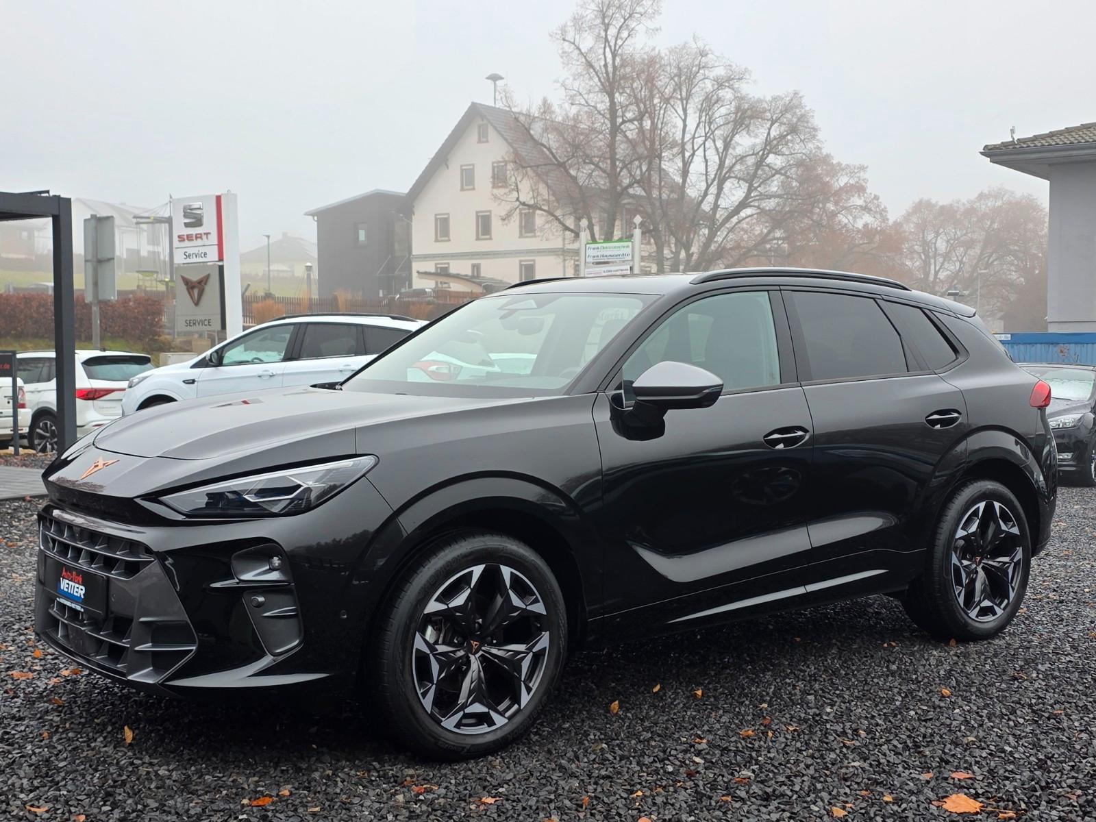 Cupra Terramar 1.5 eTSI DSG/Navi/Matrix LED/DCC/Kamera