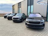 Skoda "Selection" (1) LIEFERUNG KOSTENLOS! Angebot ... - Neuwagen: Angebot
