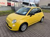 Fiat 500 Pop 1.2*TÜV NEU - Fiat 500: Beige