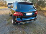 Mercedes-Benz ML 500 4MATIC - - Mercedes-Benz ML 500: 4matic