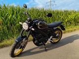 Yamaha XSR 125 Legacy 2024 top gepflegt mit neuem TÜV.. - YAMAHA XSR125 LEGACY