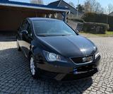 Seat Ibiza 6J / TÜV wird im Mai neu gemacht - Seat Ibiza: 6j