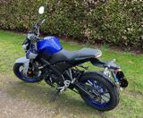 Yamaha MT 125 - YAMAHA MT125