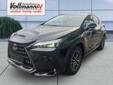 Lexus NX 350h Business Line+Navi - Lexus aus 2024: Nx