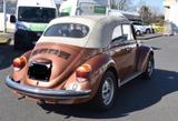 Volkswagen Käfer - Offers