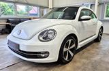 Volkswagen Beetle Lim. Design BMT Käfer Cup|NAVI|SITZHEIZUN - Volkswagen: Kaefer