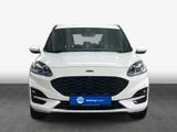 Ford Kuga 2.0 EcoBlue Aut. ST-LINE - Ford Kuga: Weiß