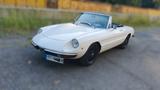 Alfa Romeo 1600 Spider H-Kennzeichen mit 2 Liter-Umbau - Alfa Romeo Spider: Weiß