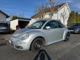 Volkswagen Beetle - gebrauchte VW Beetle aus dem Jahr 2010