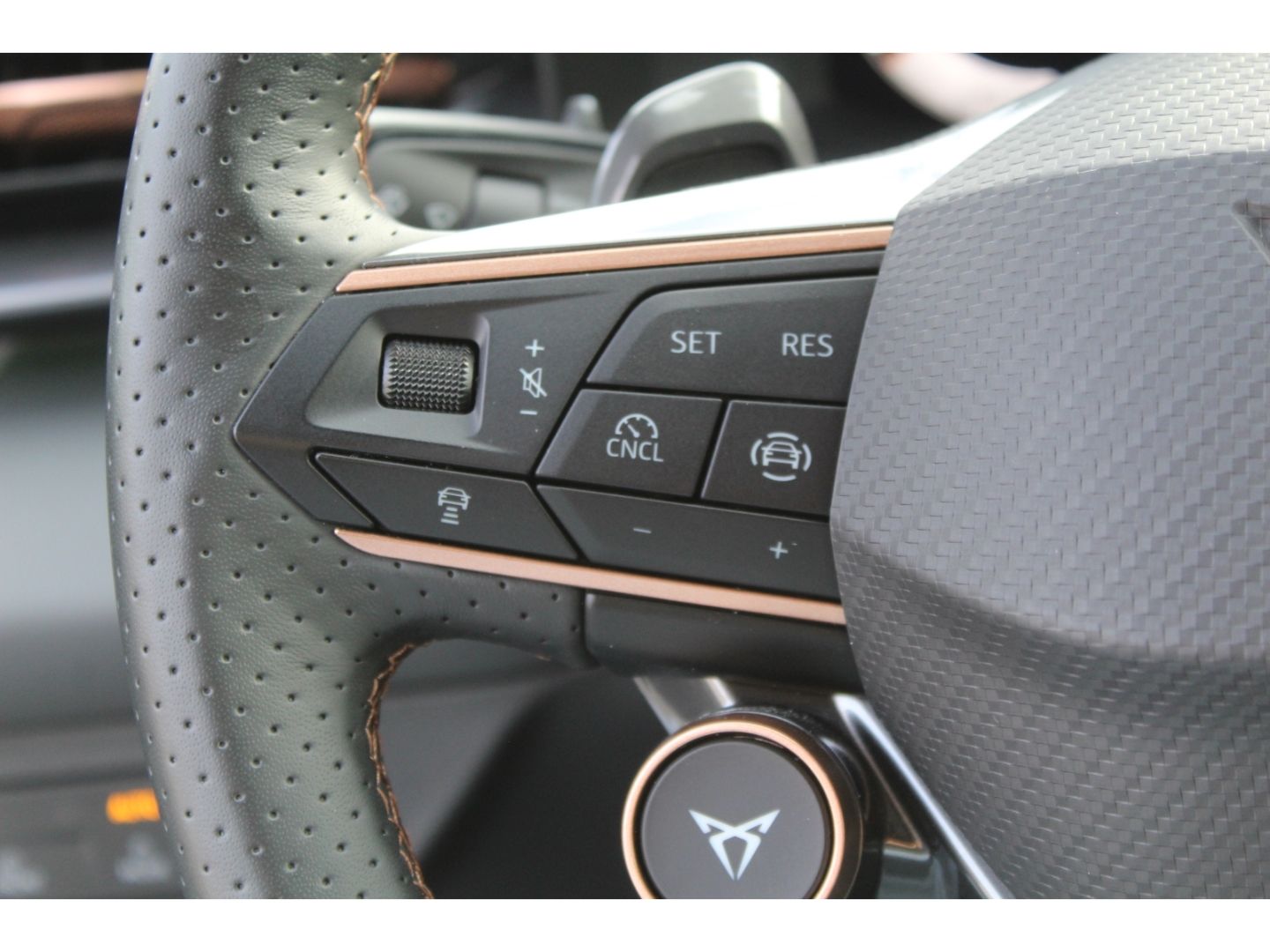 Cupra Terramar - Bild 8