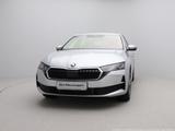 Skoda Octavia Essence 1.5 TSI MJ2026 - Skoda Octavia New cars