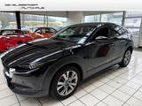 Mazda CX-30 Selection 2WD Design Paket Automatik Garan - Mazda CX-30 aus 2019