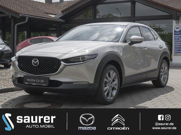 Mazda CX-30 Takumi LederAlexa360°BoseMatrix-LEDHe