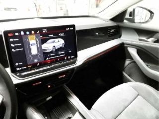 Passat 2.0 TDI Business AHK/360°Kamera/DCC Pro