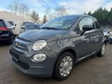 Fiat 500 Cult Klima 1.Hand erst 2.900km TÜV NEU - Fiat 500: 500er