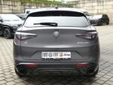 Alfa Romeo Stelvio VELOCE 2.2 DIESEL 16V 210 PS AT8 Q4 - Alfa Romeo Stelvio Tageszulassungen