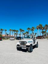 Jeep CJ7 Renegade 6cyl 120PS - Jeep aus 1980