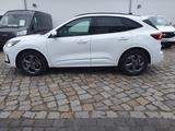 Ford Kuga 2.5 ST-Line X  Autom.Ahkpl. Panorama - gebrauchte Pickups