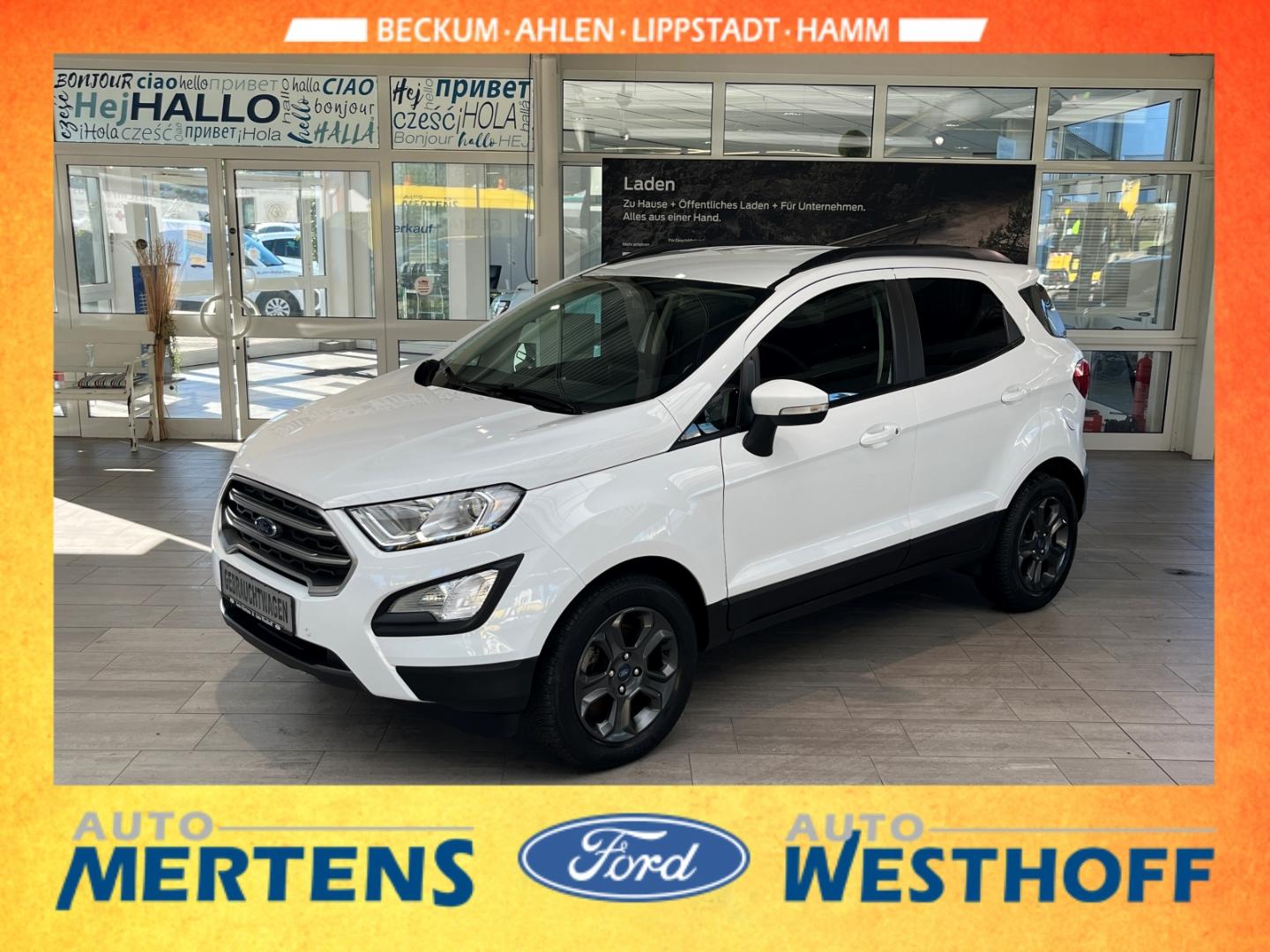 Ford EcoSport Navi + AHK + Kamera