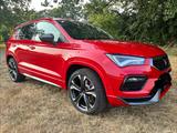 Cupra Ateca 2.0 TSI 221kW 4Drive DSG - - Cupra Ateca aus 2021