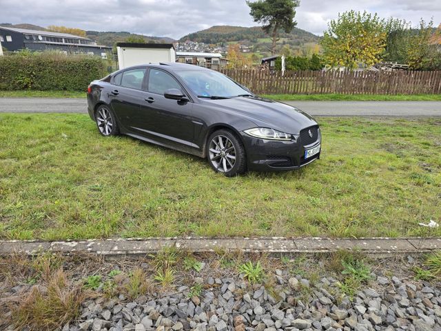 Jaguar XF top gepflegt