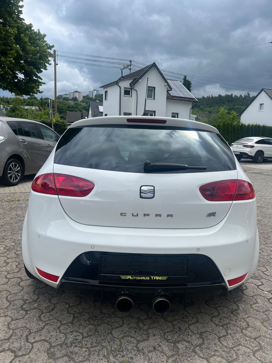 Fahrzeugabbildung SEAT Leon Cupra R *H&R*BULX*