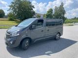 Opel Vivaro Gruau Rücksitze / Liege Standhzg. AHK