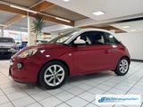 Opel Adam Jam Temp Berganfahrass. Speedlimiter Alu Kl - Opel Adam in Bonn