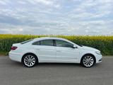 Volkswagen VW CC 2.0 TDI*EU6*DSG*Navi*Xenon*Pano Leder - Volkswagen Passat CC: Weiß